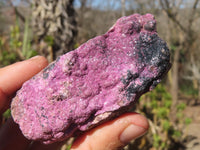 Natural Pink Salrose Cobaltion Dolomite Specimens  x 6 From Kakanda, Congo