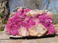 Natural Pink Salrose Cobaltion Dolomite Specimens  x 6 From Kakanda, Congo