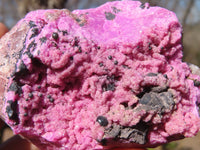 Natural Pink Salrose Cobaltion Dolomite Specimens  x 6 From Kakanda, Congo