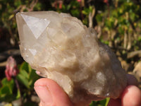 Natural Cascading Smokey Quartz Clusters x 6 From Luena, Congo