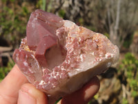 Natural Red Hematoid Quartz Specimens x 24 From Karoi, Zimbabwe