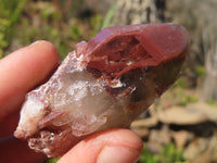 Natural Red Hematoid Quartz Specimens x 24 From Karoi, Zimbabwe