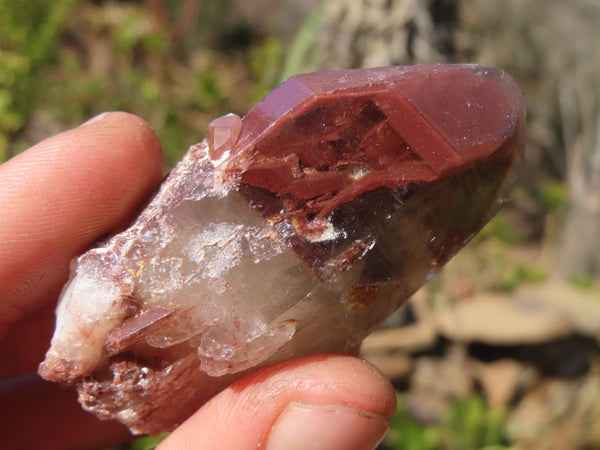 Natural Red Hematoid Quartz Specimens x 24 From Karoi, Zimbabwe