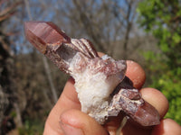 Natural Red Hematoid Quartz Specimens x 24 From Karoi, Zimbabwe