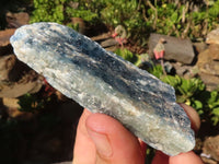 Natural Single Blue Kyanite Crystals  x 35 From Karoi, Zimbabwe - Toprock Gemstones and Minerals 