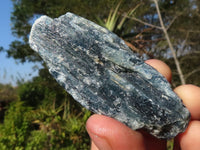 Natural Single Blue Kyanite Crystals  x 35 From Karoi, Zimbabwe - Toprock Gemstones and Minerals 