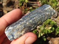 Natural Single Blue Kyanite Crystals  x 35 From Karoi, Zimbabwe - Toprock Gemstones and Minerals 