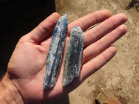 Natural Single Blue Kyanite Crystals  x 35 From Karoi, Zimbabwe - Toprock Gemstones and Minerals 