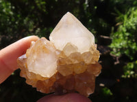 Natural Mixed Selection Of Small Spirit Quartz Clusters   x 35 From Boekenhouthoek, South Africa - TopRock