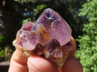 Natural Mixed Selection Of Small Spirit Quartz Clusters   x 35 From Boekenhouthoek, South Africa - TopRock