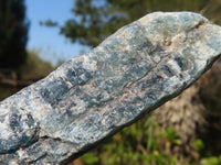 Natural Single Blue Kyanite Crystals  x 35 From Karoi, Zimbabwe - Toprock Gemstones and Minerals 