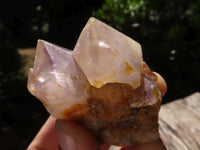 Natural Mixed Selection Of Small Spirit Quartz Clusters   x 35 From Boekenhouthoek, South Africa - TopRock