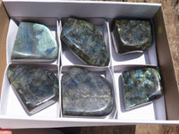 Polished Flashy Labradorite Standing Free Forms  x 6 From Madagascar - TopRock