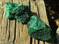 Natural Chatoyant Silky Malachite Specimens  x 2 From Kasompe, Congo