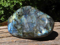 Polished Flashy Labradorite Standing Free Forms  x 6 From Madagascar - TopRock