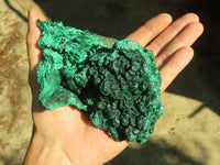 Natural Chatoyant Silky Malachite Specimens  x 2 From Kasompe, Congo