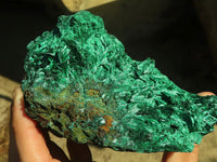 Natural Chatoyant Silky Malachite Specimens  x 2 From Kasompe, Congo