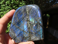 Polished Flashy Labradorite Standing Free Forms  x 6 From Madagascar - TopRock