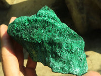 Natural Chatoyant Silky Malachite Specimens  x 2 From Kasompe, Congo