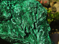 Natural Chatoyant Silky Malachite Specimens  x 2 From Kasompe, Congo