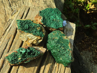 Natural Micro Botryoidal Crystalline Malachite Specimens  x 4 From Kolwezi, Congo