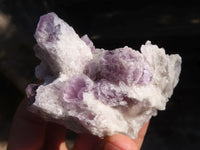 Natural Sugar Amethyst Clusters  x 12 From Solwezi, Zambia - Toprock Gemstones and Minerals 