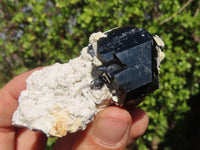 Natural Schorl Black Tourmaline Specimens x 6 From Erongo, Namibia