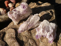 Natural Sugar Amethyst Clusters  x 12 From Solwezi, Zambia - Toprock Gemstones and Minerals 