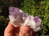 Natural Sugar Amethyst Clusters  x 12 From Solwezi, Zambia - Toprock Gemstones and Minerals 