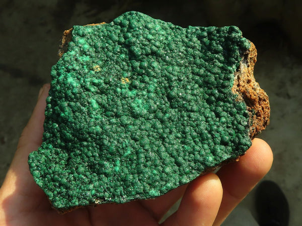 Natural Micro Botryoidal Crystalline Malachite Specimens  x 4 From Kolwezi, Congo