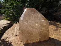 Polished Rutilated Quartz Crystal x 1 From Madagascar - TopRock