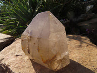 Polished Rutilated Quartz Crystal x 1 From Madagascar - TopRock