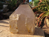 Polished Rutilated Quartz Crystal x 1 From Madagascar - TopRock