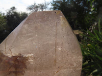 Polished Rutilated Quartz Crystal x 1 From Madagascar - TopRock