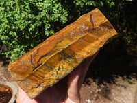 Natural Golden Blue Tigers Eye Specimen x 1 From Prieska, South Africa - TopRock