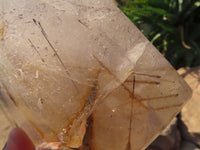 Polished Rutilated Quartz Crystal x 1 From Madagascar - TopRock