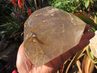 Polished Rutilated Quartz Crystal x 1 From Madagascar - TopRock