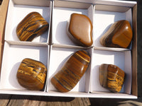 Polished Golden Tigers Eye Free Forms x 6 From Prieska, Northern Cape