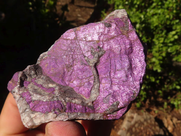 Natural Metallic Purpurite Cobbed Specimens  x 12 From Erongo, Namibia - Toprock Gemstones and Minerals 