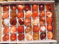 Polished Gorgeous Carnelian Agate Palm Stones  x 35 From Madagascar - TopRock