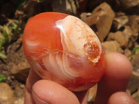 Polished Gorgeous Carnelian Agate Palm Stones  x 35 From Madagascar - TopRock