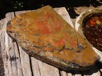 Natural Golden Blue Tigers Eye Specimen x 1 From Prieska, South Africa - TopRock