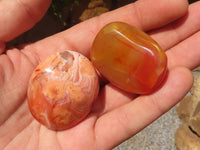 Polished Gorgeous Carnelian Agate Palm Stones  x 35 From Madagascar - TopRock