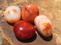 Polished Gorgeous Carnelian Agate Palm Stones  x 35 From Madagascar - TopRock