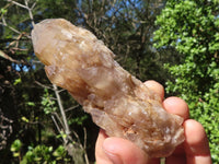 Natural Small Cascading White Phantom Smokey Quartz  x 23 From Luena, Congo - Toprock Gemstones and Minerals 