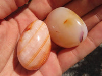 Polished Gorgeous Carnelian Agate Palm Stones  x 35 From Madagascar - TopRock