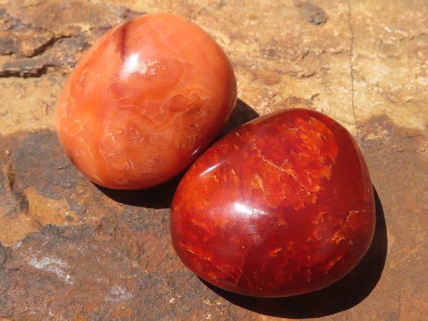 Polished Gorgeous Carnelian Agate Palm Stones  x 35 From Madagascar - TopRock