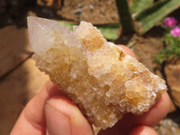 Natural Mixed Selection Of Spirit Quartz Clusters  x 34 From Boekenhouthoek, South Africa - TopRock