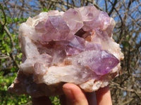 Natural Jacaranda Amethyst Clusters x 3 From Zambia