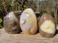 Polished Agate Standing Free Forms x 3 From Madagascar